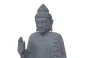 morepic-1
